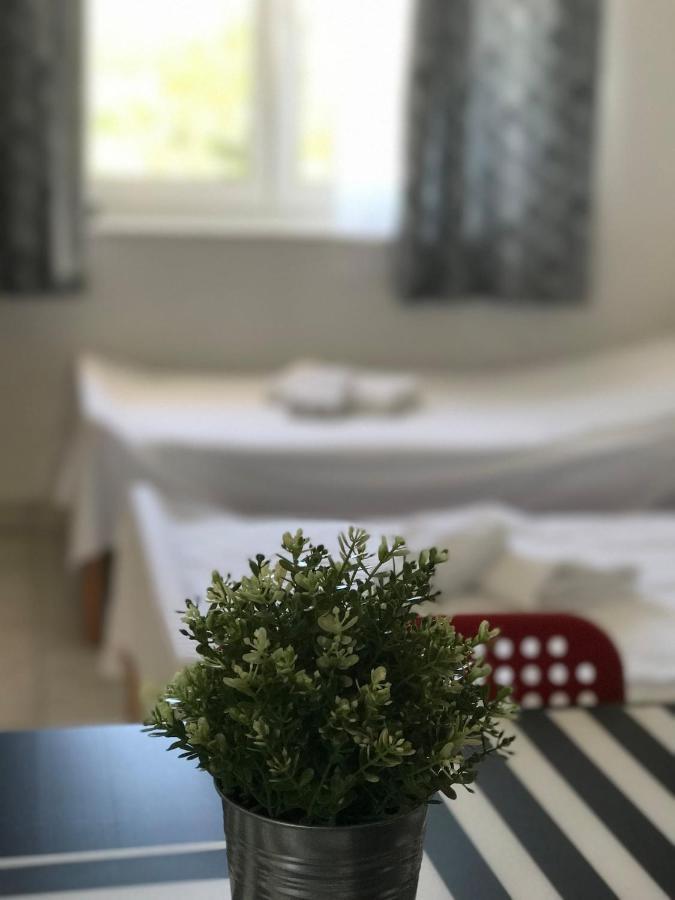 Apartment Avada Novalja Εξωτερικό φωτογραφία